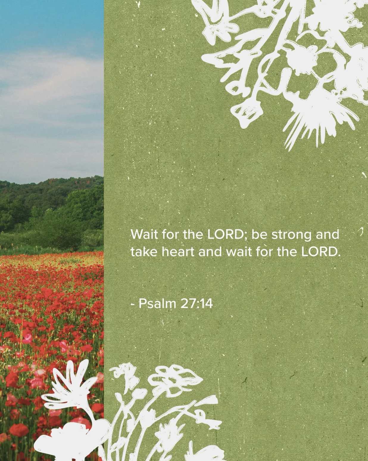 Psalm 27:14 scripture graphic beside a field of red poppies with hand-drawn white florals